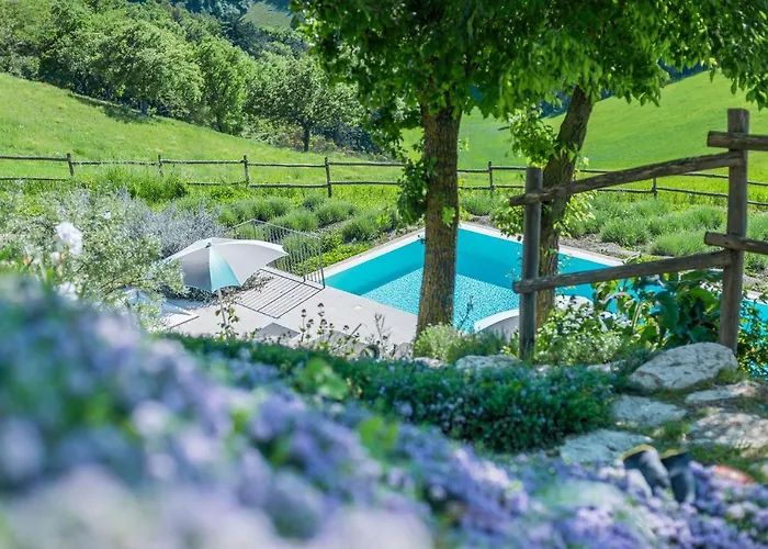 Del Duca * 우르바니아